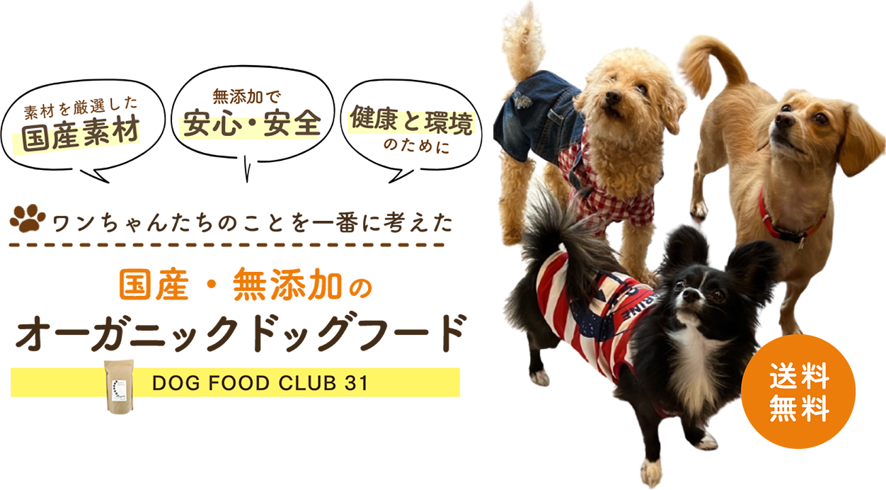 ワンちゃんたちのことを一番に考えた国産・無添加のオーガニックドッグフード DOG FOOD CLUB31